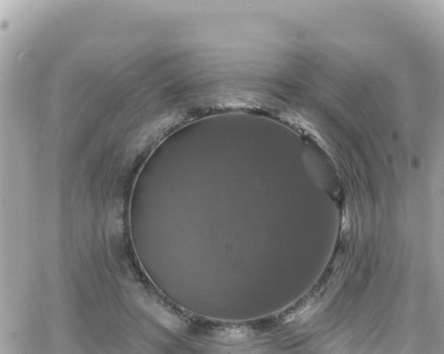 X0000066510402200603241312