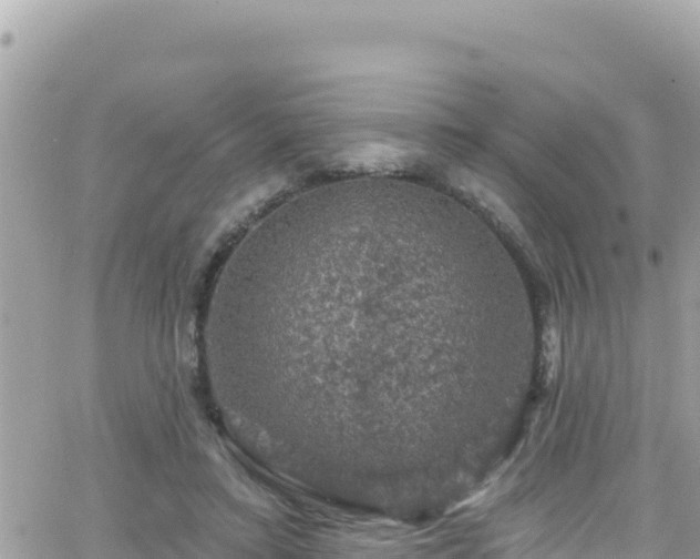 X0000066510403200603241312