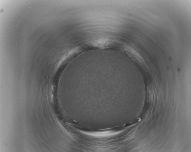 X0000066510404200603241312