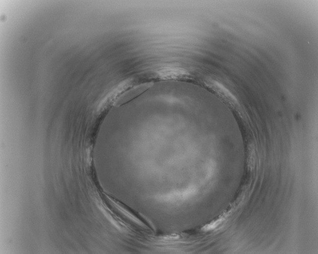 X0000066510405200603241312