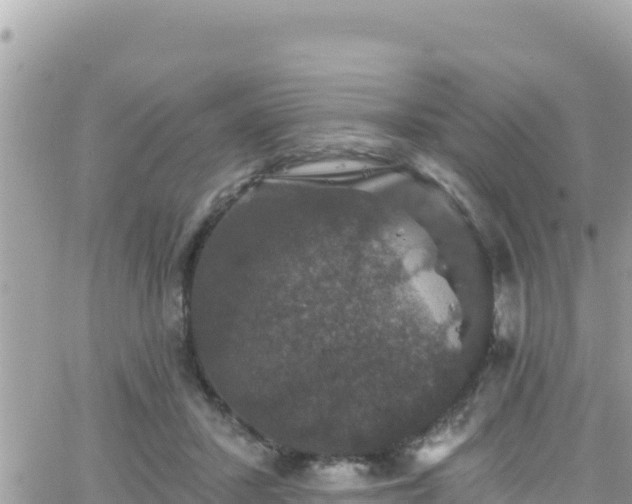 X0000066510407200603241312