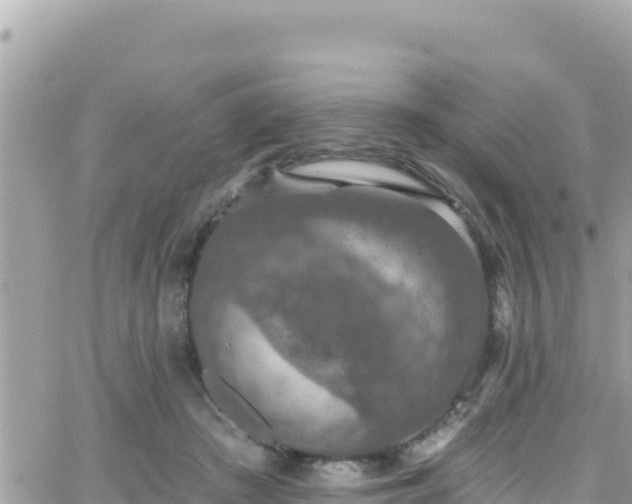 X0000066510409200603241311