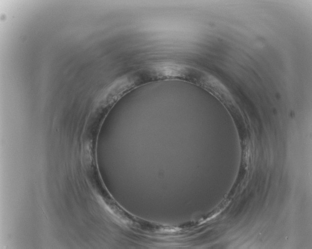 X0000066510410200603241311