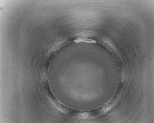 X0000066510411200603241311