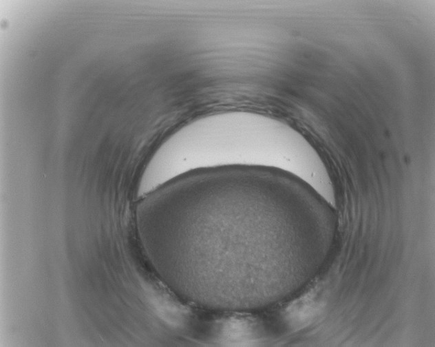 X0000066510412200603241311