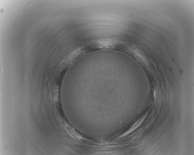 X0000066510413200603241311