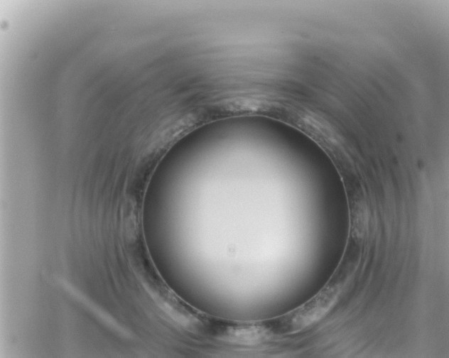 X0000066510414200603241311