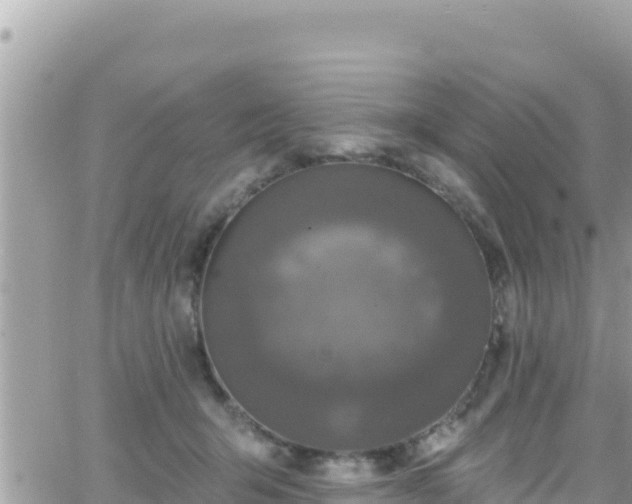 X0000066510415200603241311