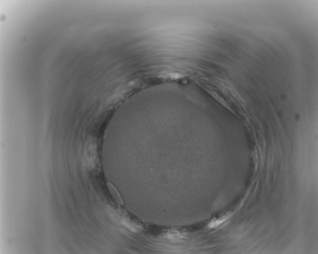 X0000066510416200603241311