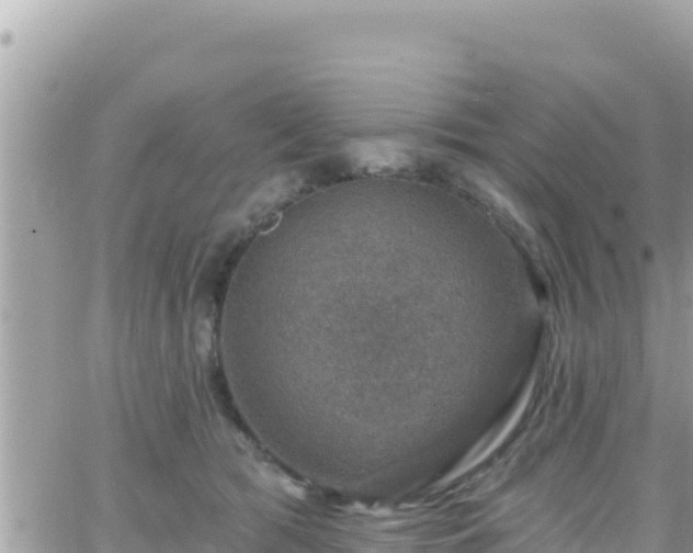 X0000066510417200603241311