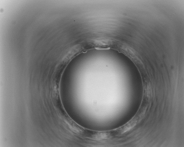 X0000066510418200603241311