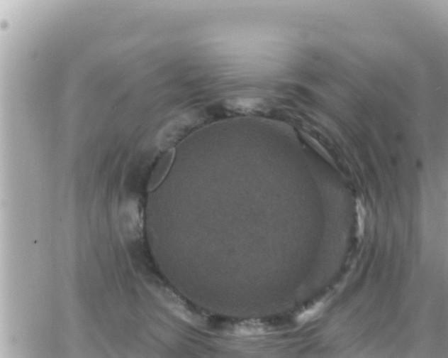 X0000066510420200603241311