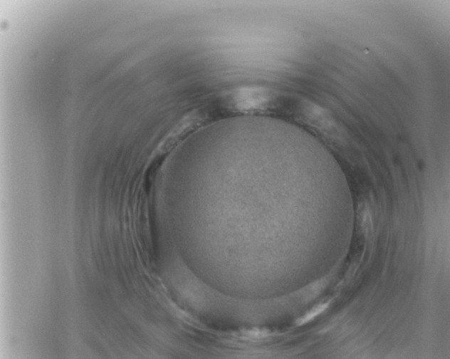 X0000066510421200603241311