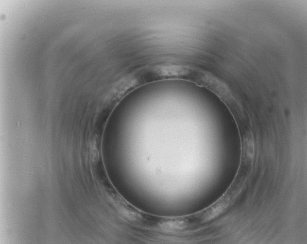 X0000066510422200603241311