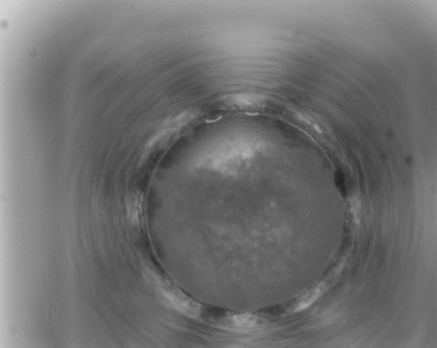 X0000066510423200603241311