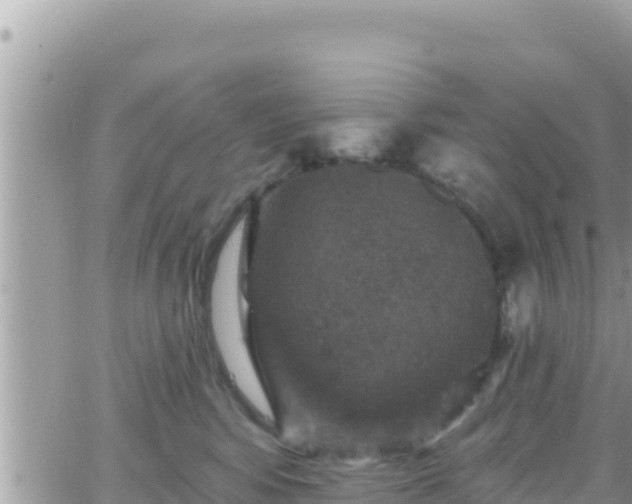 X0000066510424200603241311