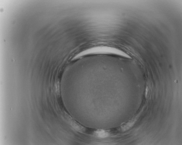 X0000066510425200603241311