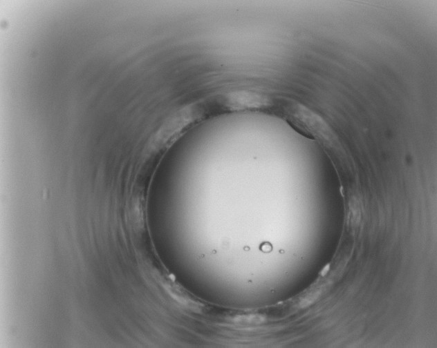 X0000066510426200603241311