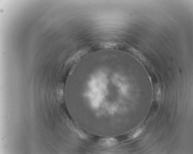 X0000066510427200603241311