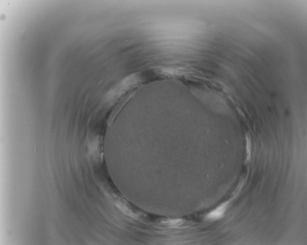 X0000066510428200603241311