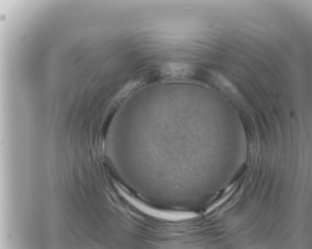 X0000066510429200603241311