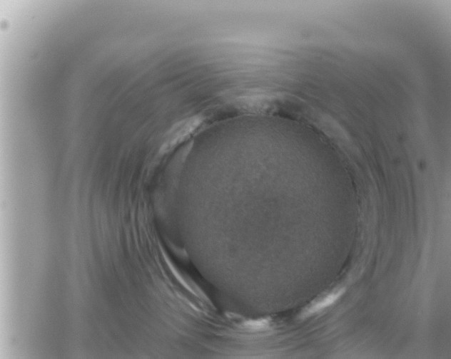 X0000066510432200603241311