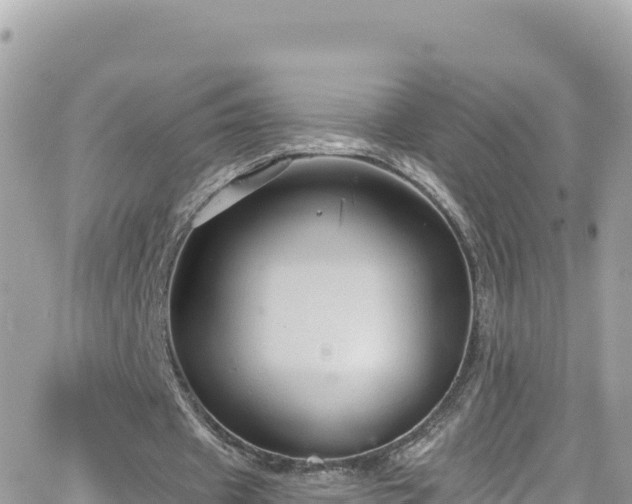 X0000066510433200603241310