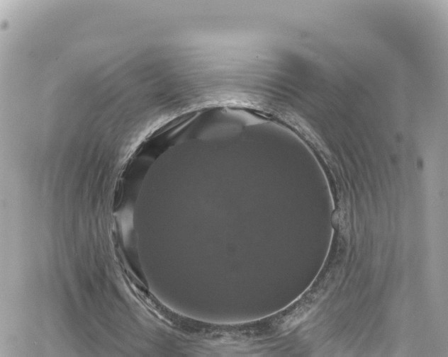 X0000066510434200603241310