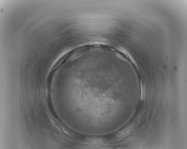 X0000066510435200603241310