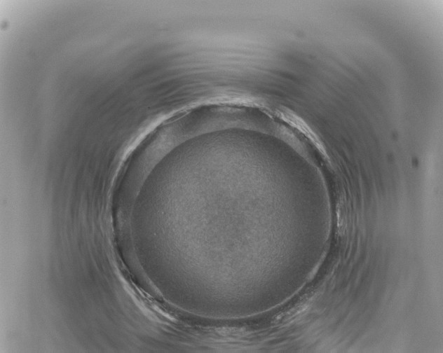 X0000066510436200603241310