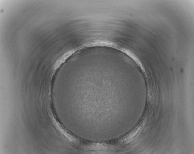 X0000066510437200603241310