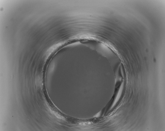 X0000066510438200603241310