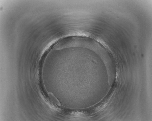 X0000066510440200603241310