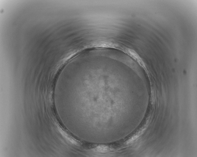 X0000066510441200603241310