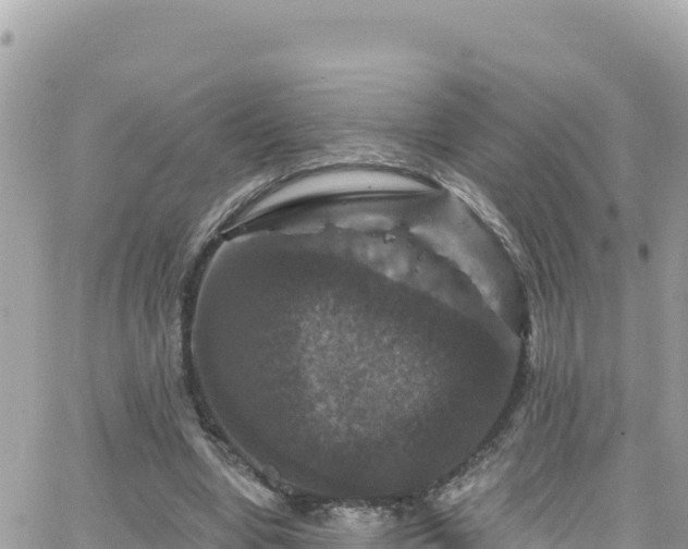 X0000066510442200603241310