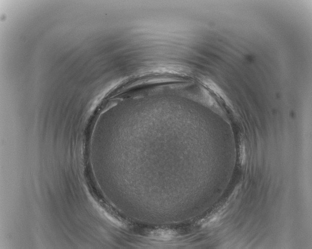 X0000066510444200603241311