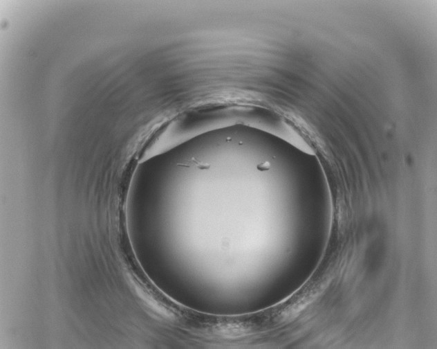 X0000066510445200603241311