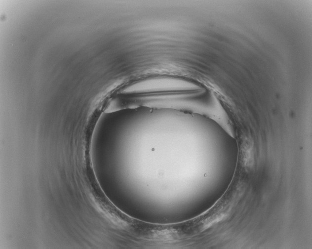 X0000066510446200603241311