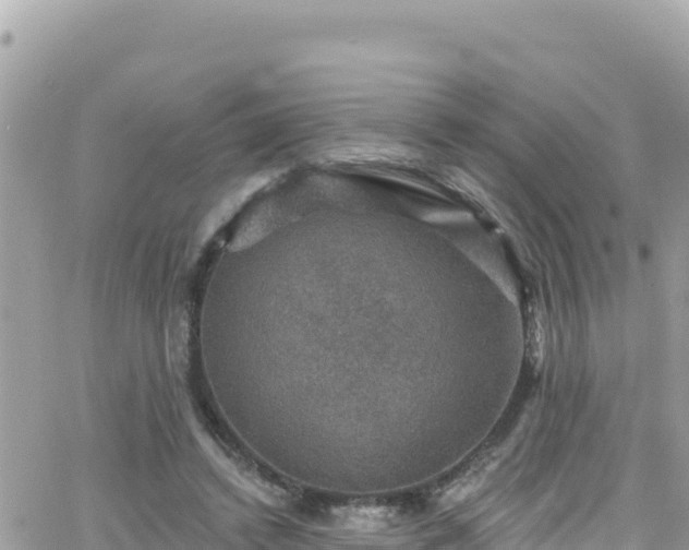 X0000066510448200603241311