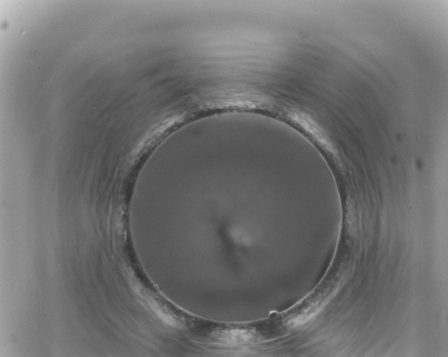 X0000066510449200603241311