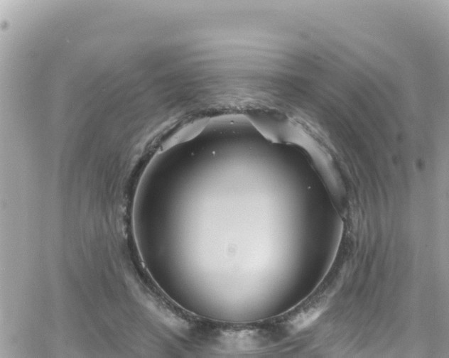 X0000066510450200603241311