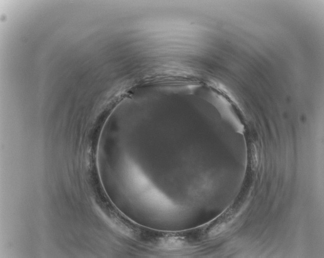 X0000066510451200603241311