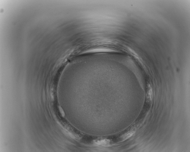 X0000066510452200603241311