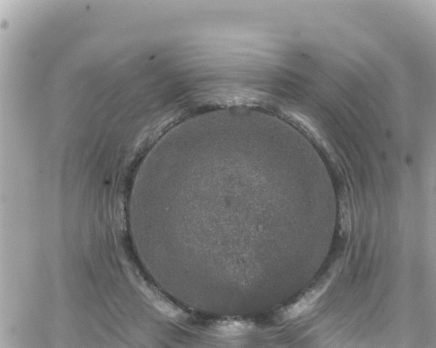 X0000066510453200603241311