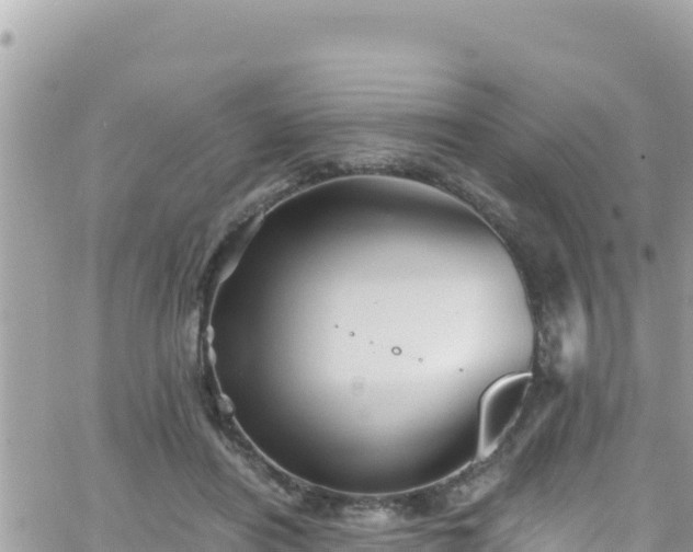 X0000066510454200603241311