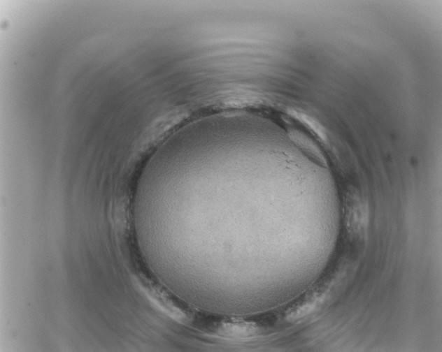 X0000066510455200603241311