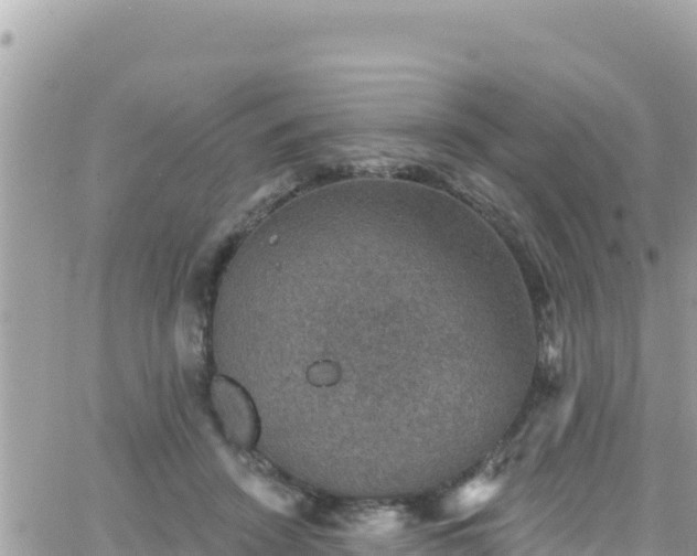 X0000066510456200603241311