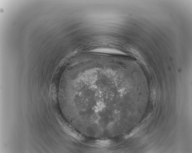 X0000066510457200603241311