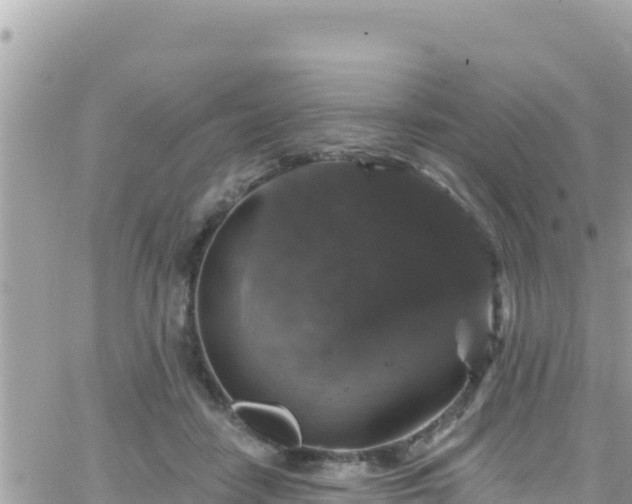 X0000066510458200603241311