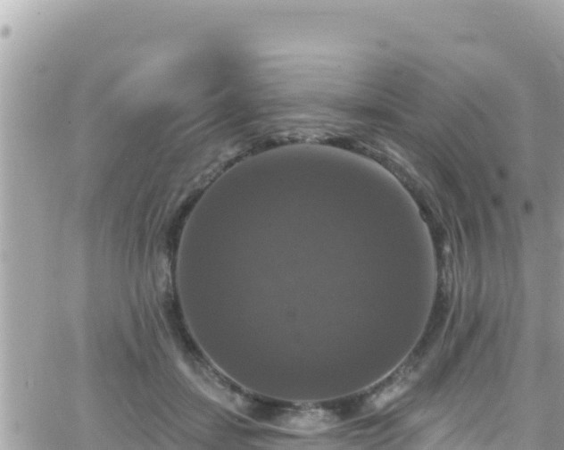 X0000066510459200603241311